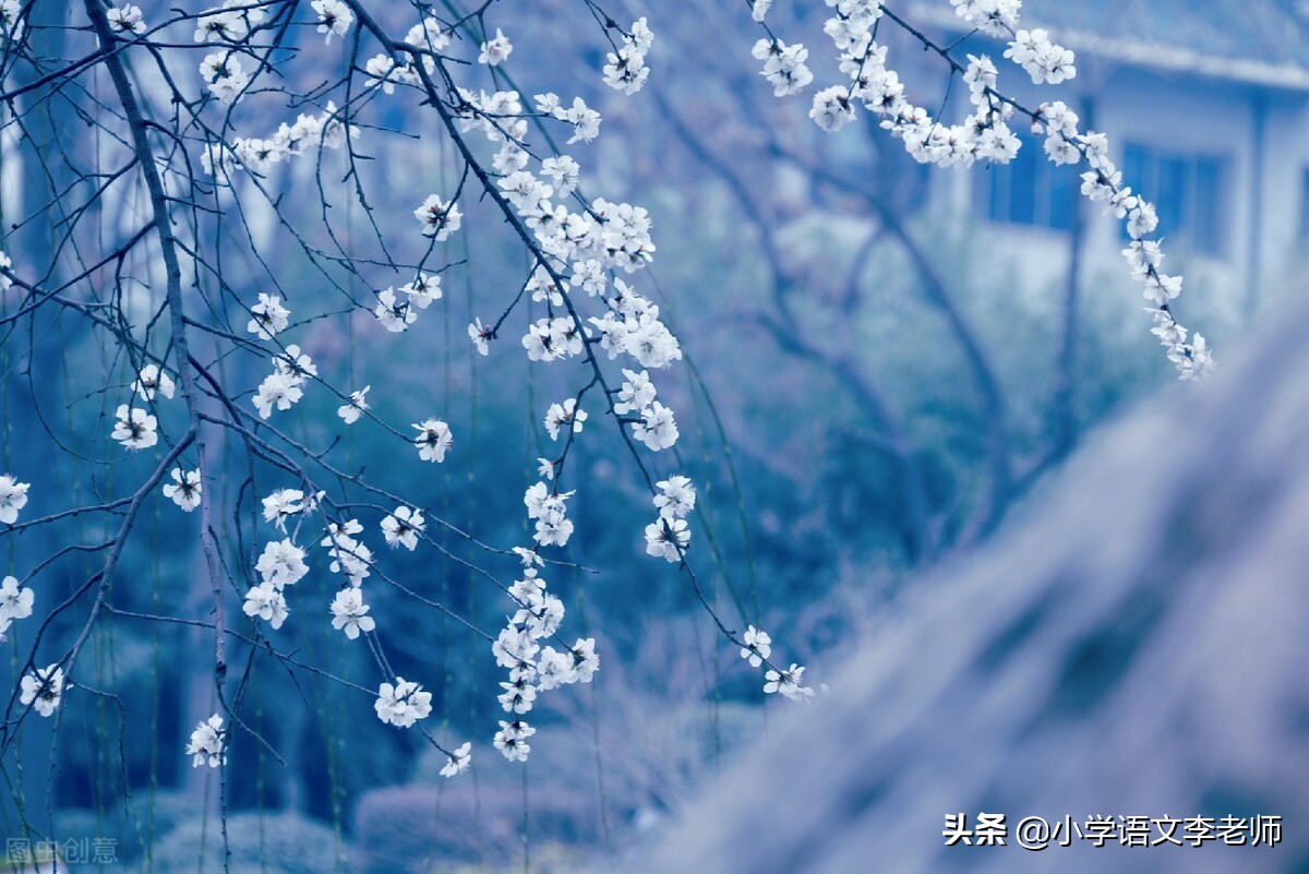 写景作文好开头、好结尾集锦，孩子写作必备素材，快收藏打印