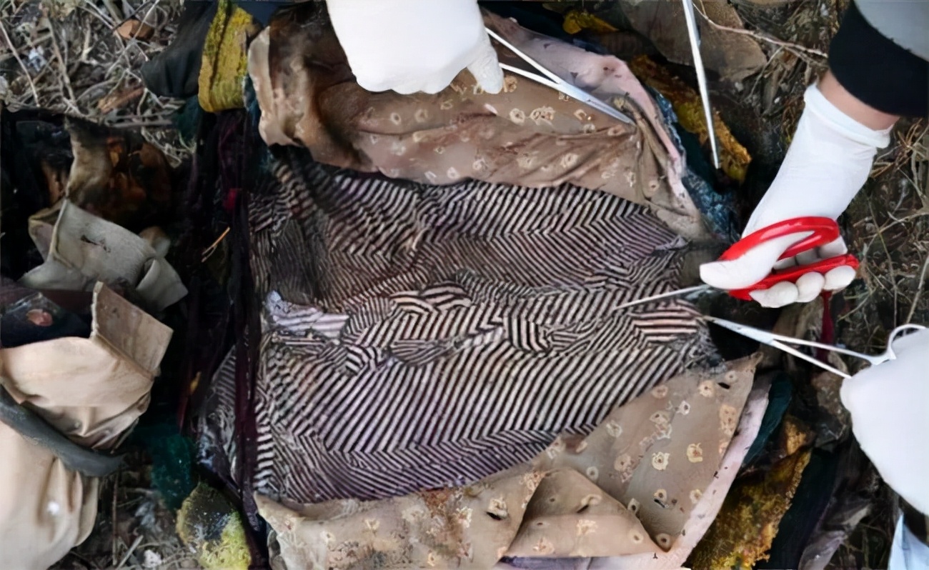 男子因杀妻被判15年，11年后“亡妻”突然回家，已和他人结婚生子