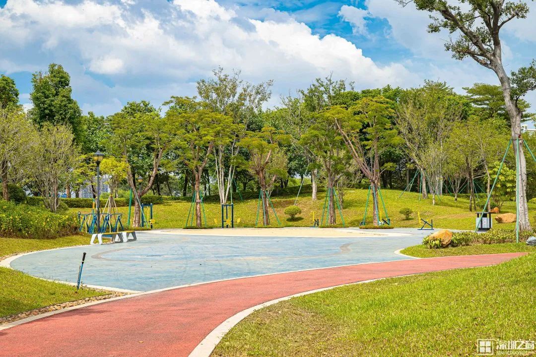 深圳马拉松（深圳资深全马跑者：跑步没有意义，为跑而跑）