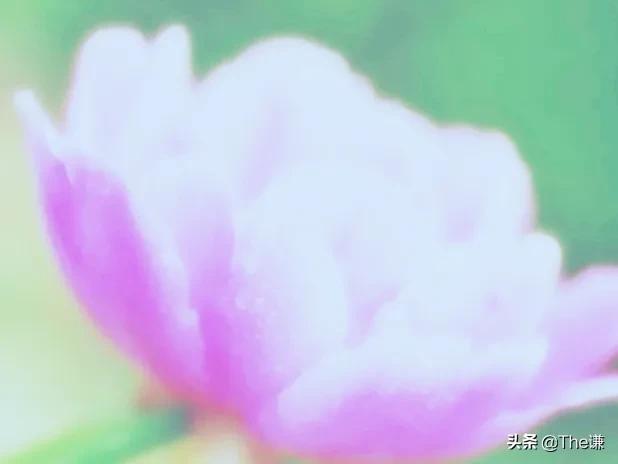 不相信這是愛的軌迹 天天看點