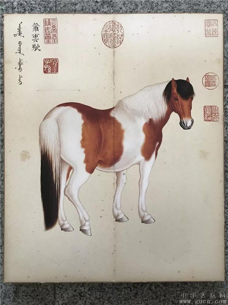 清代宫廷画家郎世宁的（清代宫廷画家郎世宁的什么图描绘了姿态各异之骏马白皮）-第41张图片-悠嘻资讯网