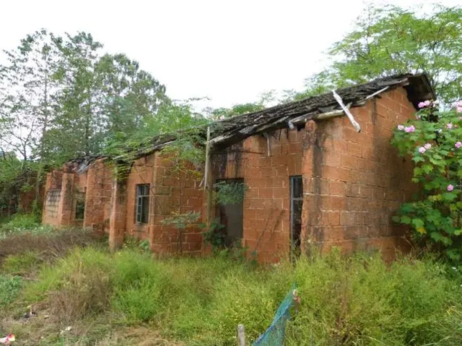 2015年武汉女孩被“高富帅”网友骗至农村，19岁为其生下龙凤胎