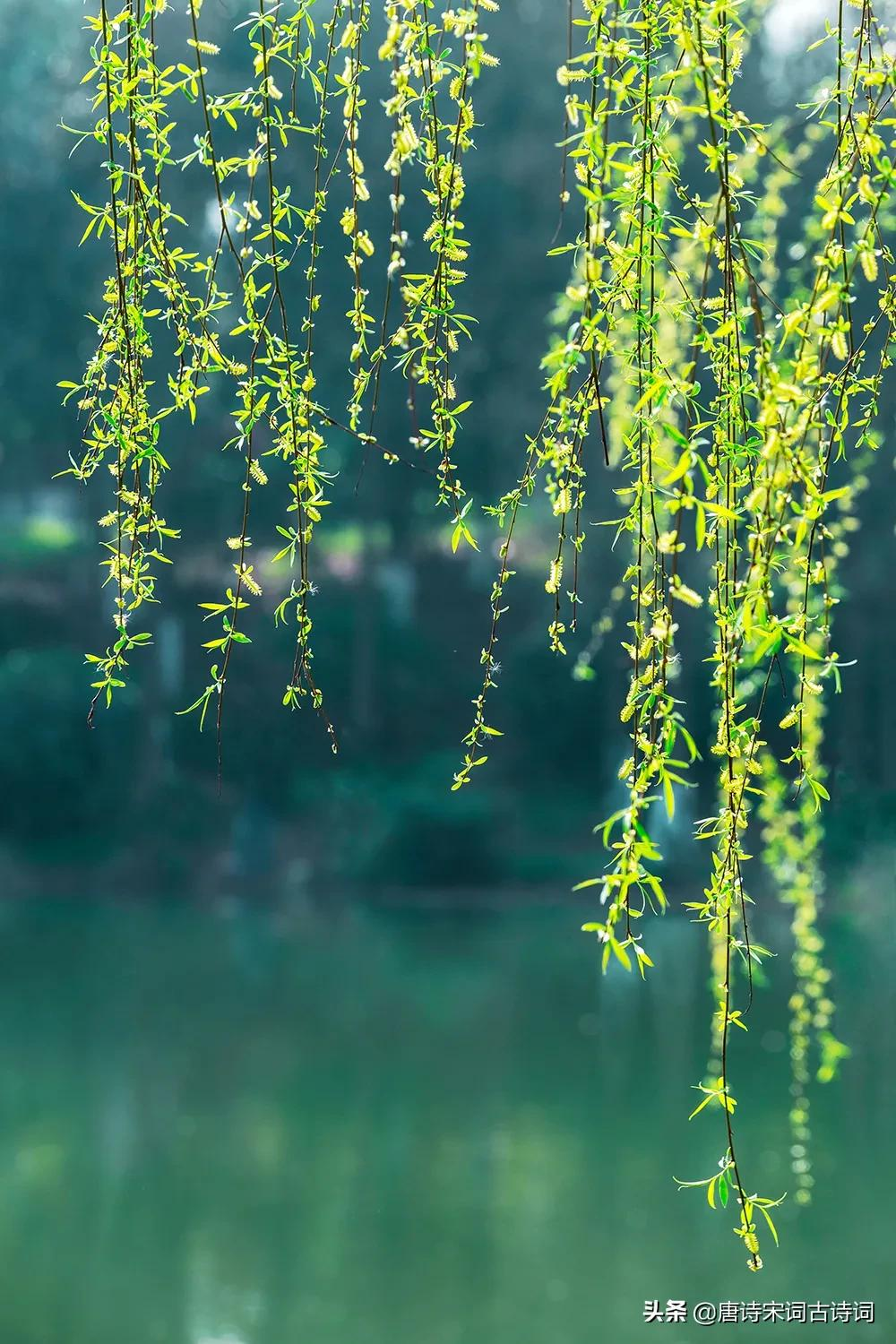 草木渐知春，萌芽处处新