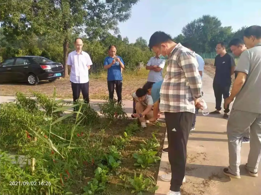 ���ϵ��� ��մ����37����ũ�����Ԫ�⳥��