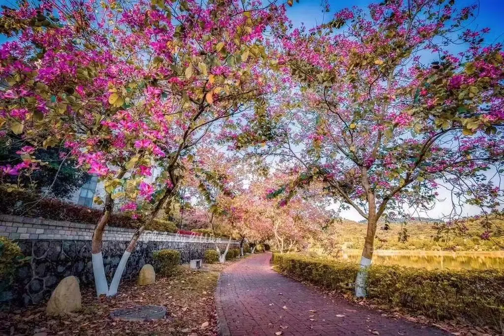 广州华立科技职业学院2022年春季广州、云浮校区招生全面开启