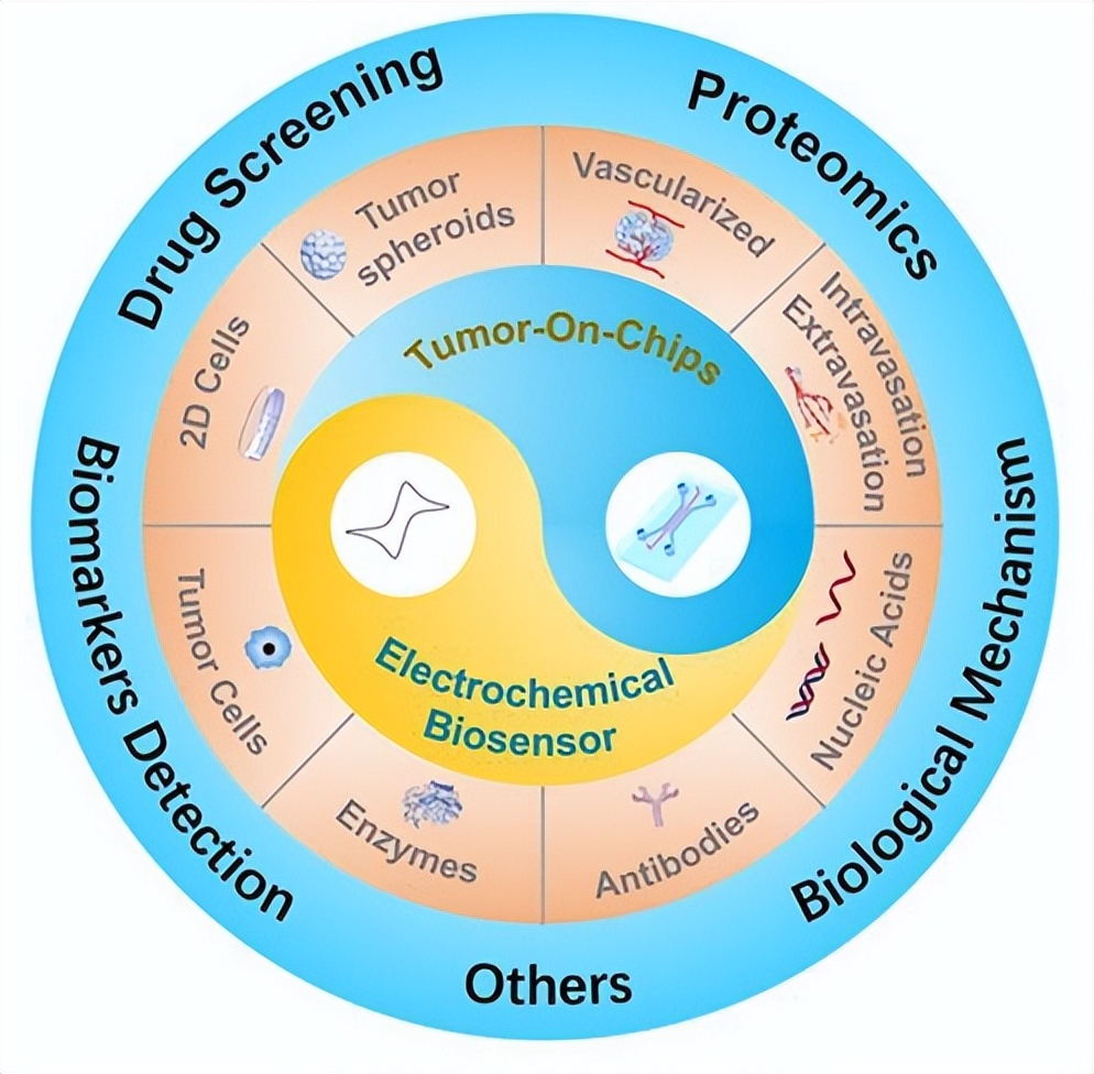 一文起底东南大学“火爆”学院！坐拥“全国第一”学科，本科生曾一作发Cell