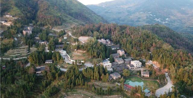 11ͷţĪ��������������׼�����ȫ�������Ϊ�ι�԰�������ֲ��