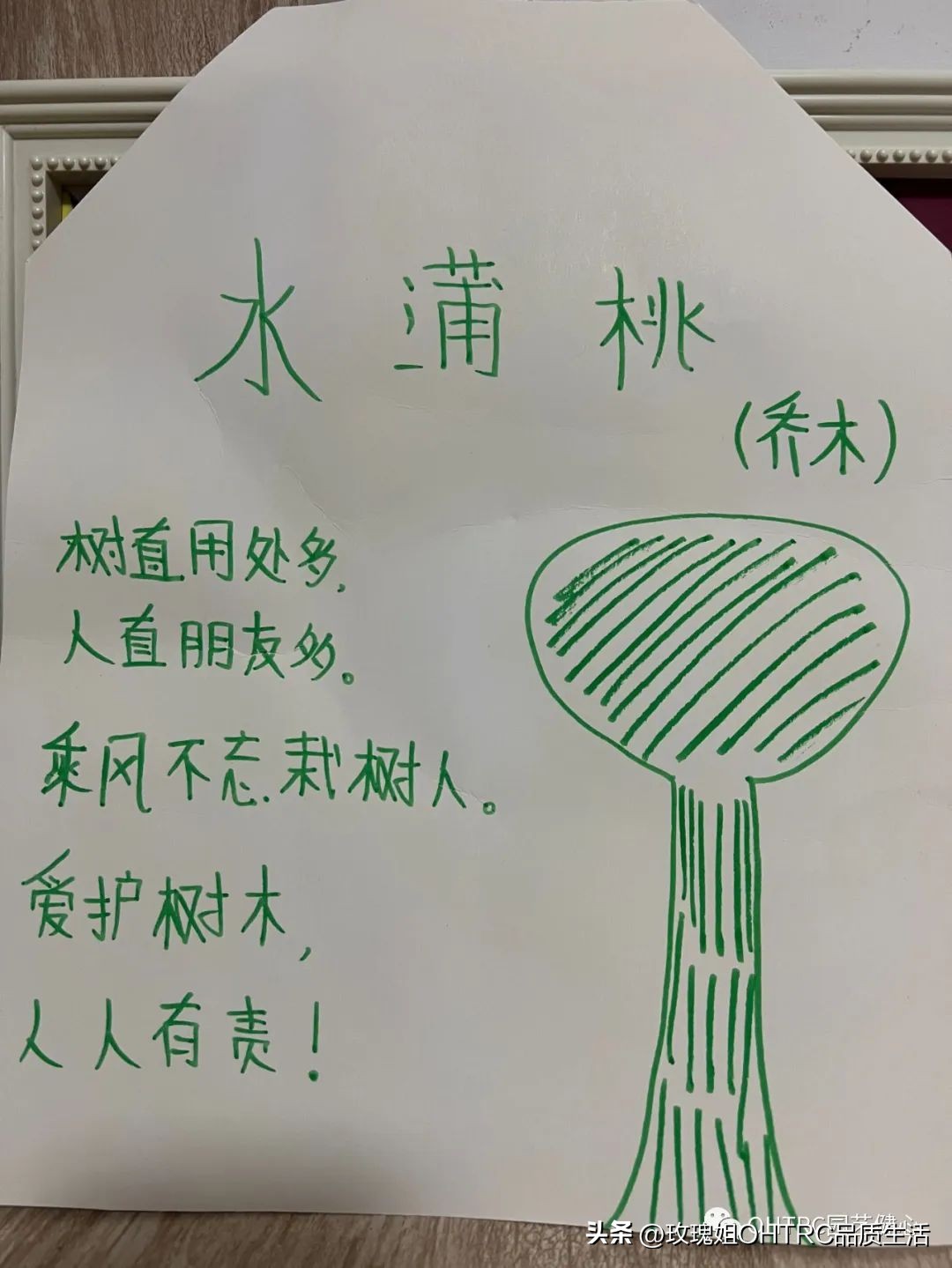 「成果展」爱树护树宣传海报