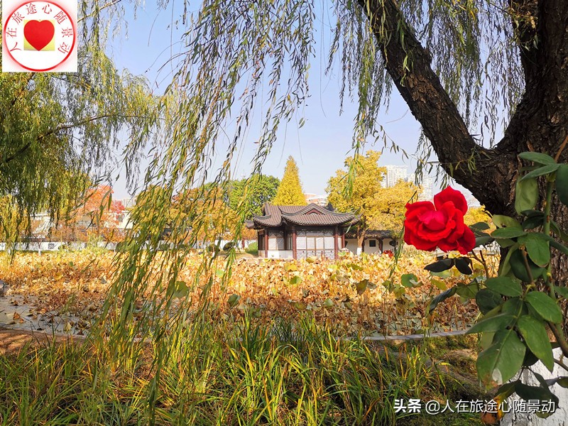 南京公园年票,南京公园年票2022全年办理