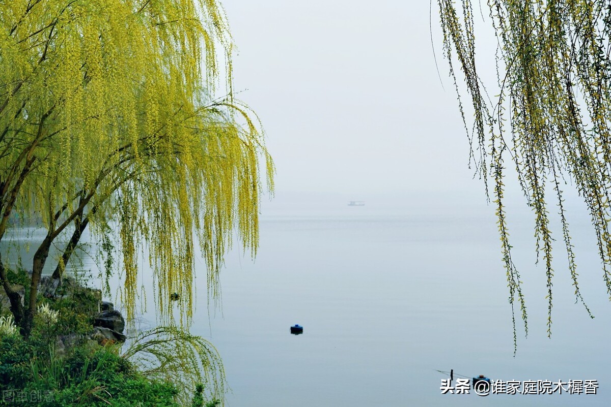 忆江南是谁写的（忆江南是谁写的一首什么诗）-第2张图片-昕阳网