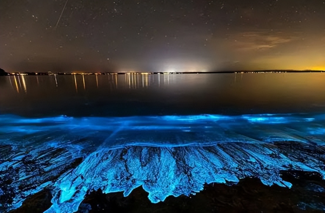 并且会发出光芒的浮游生物,学名是希氏弯喉海萤,大家也可以将它们当作
