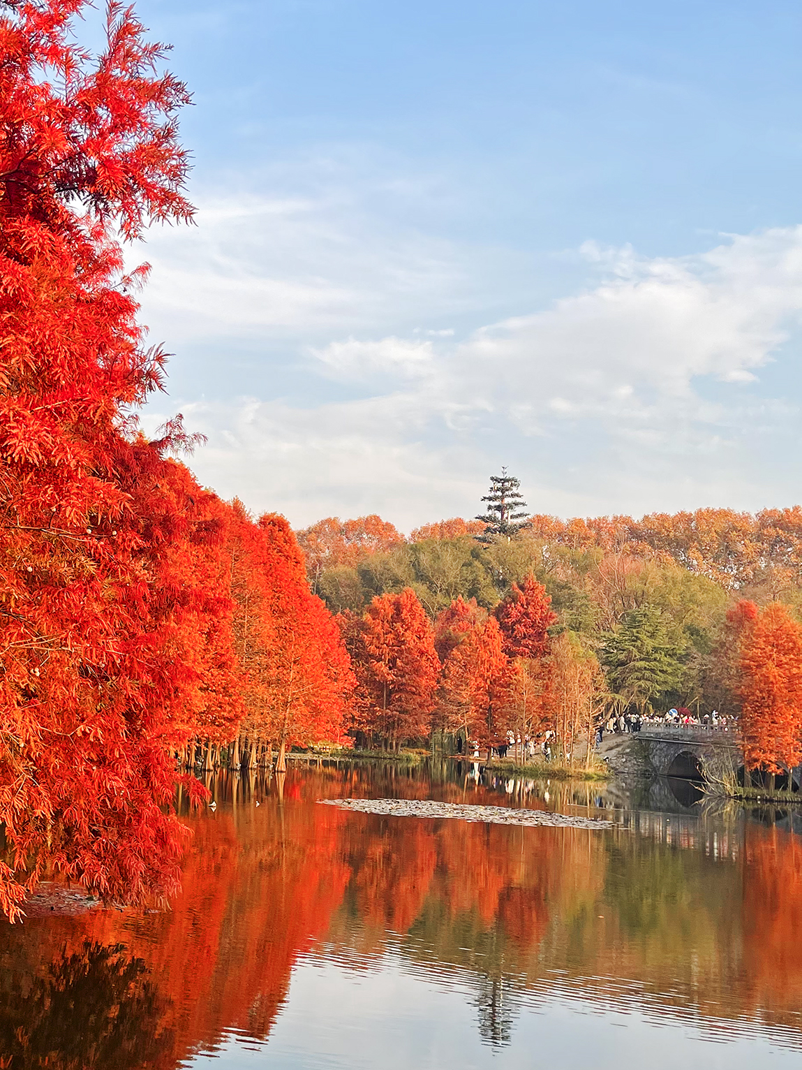 「摄影61随感」就那几根树木,却成冬天最美风景