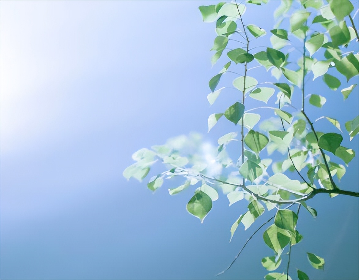 蓝颜知己生日暖心祝福：纯洁友谊不言爱，岁月静好共相陪