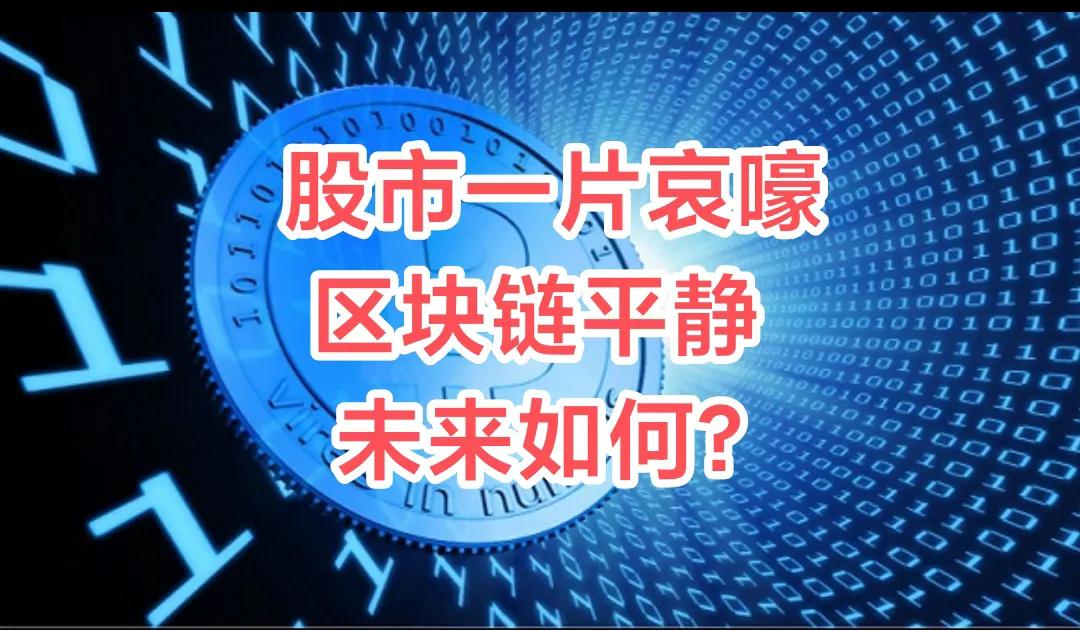 市场一片哀嚎，区块链反倒平静，未来会怎样？