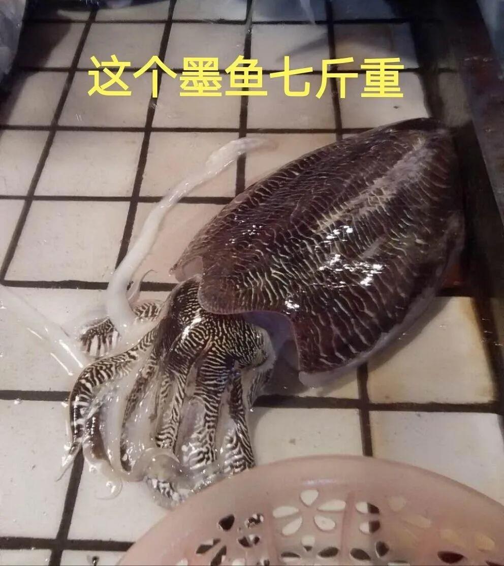 追梦军旅满眼春
