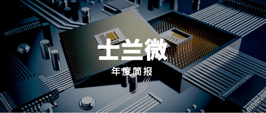 年度简报｜士兰微2021年的变化是什么？