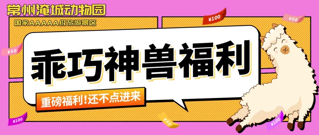 赏春花、放纸鸢、遇神兽...淹城动物园百兽陪你畅享春日好时光