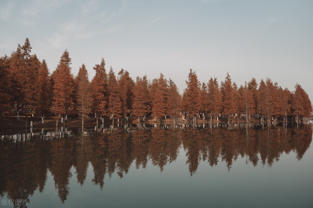 常州有什么好玩的地方旅游景点（常州有什么好玩的地方旅游景点免费）-第14张图片-易算准