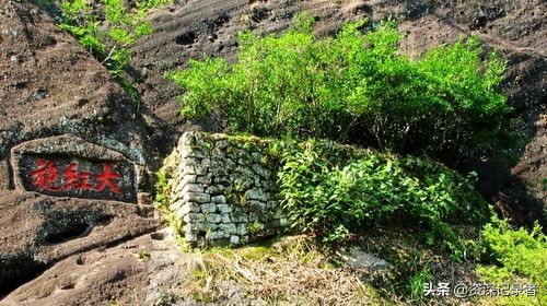 福建武夷山正皇国茶0加盟费0风险模式全国招商