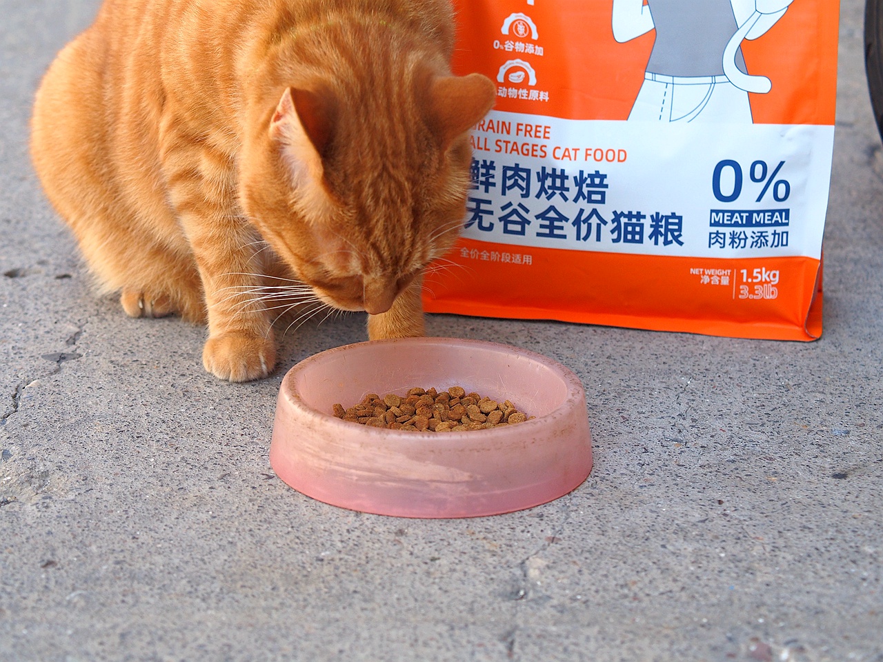 无谷鲜肉配方，宠熙猫粮毛孩子爱吃的猫粮