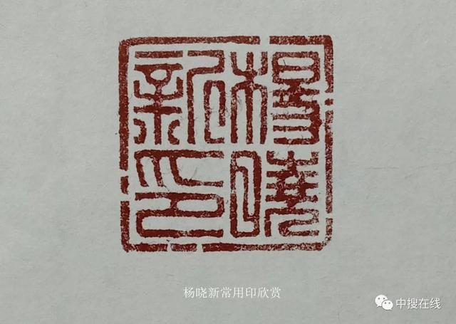 牡丹画家杨晓新其人其画 撰稿：张亚明