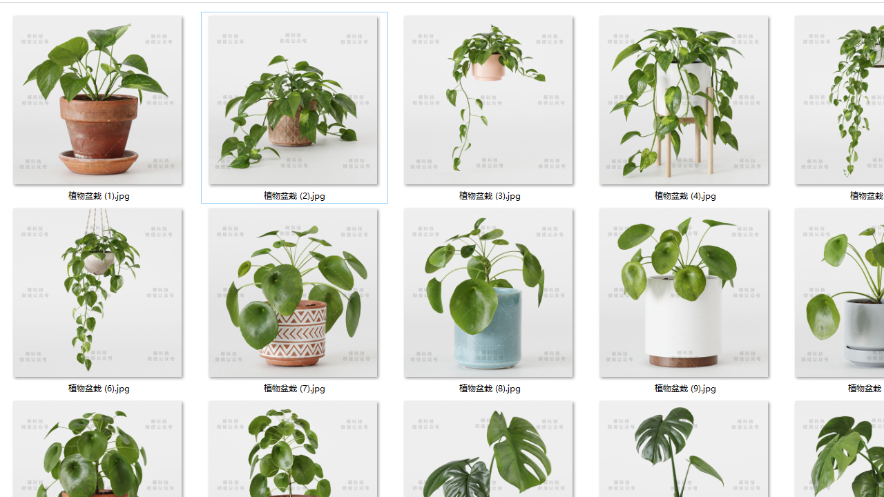 高质量3D植物库下载