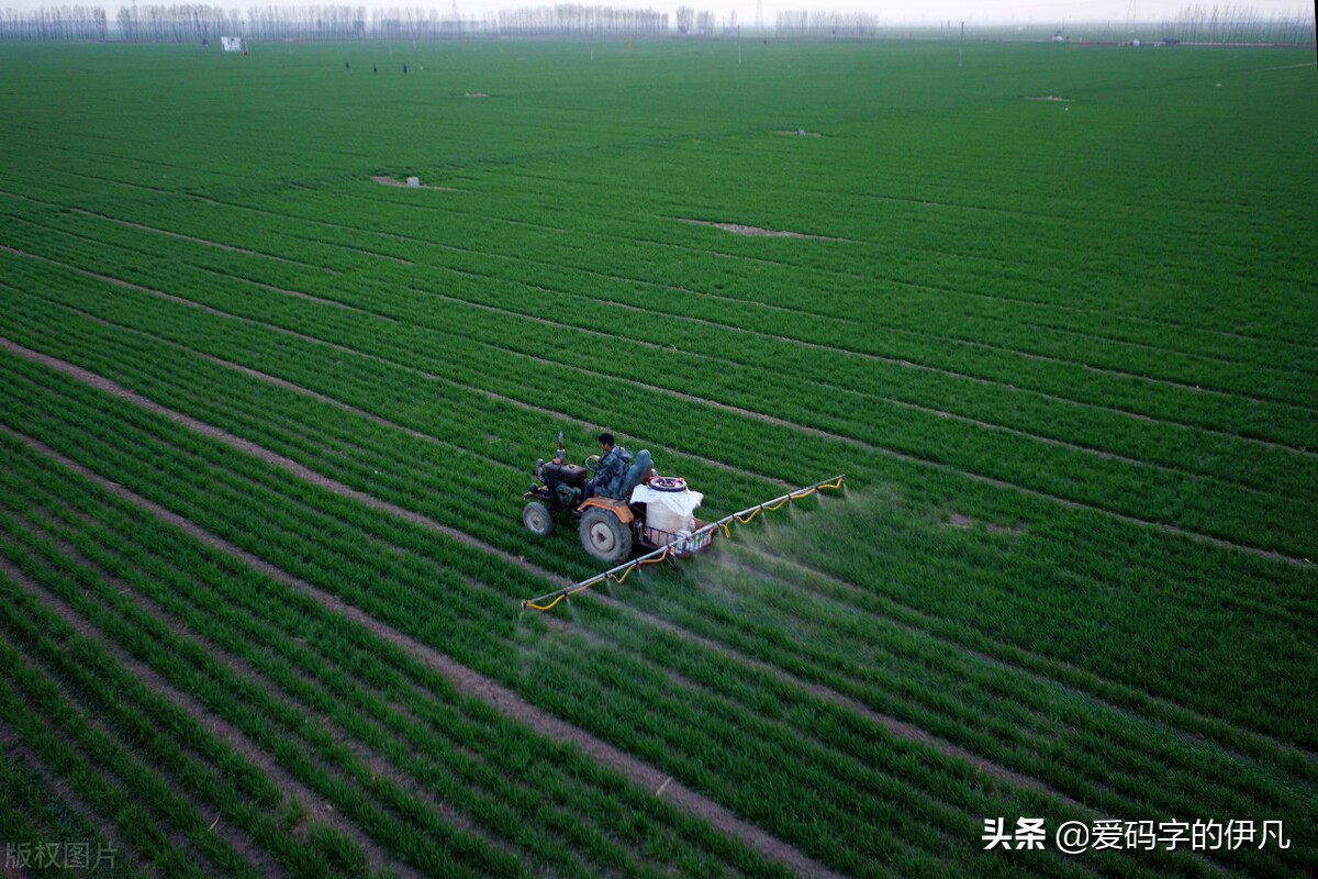 一盘水饺引发的大战：三全、思念、湾仔、龙凤哪一个是你的最爱？