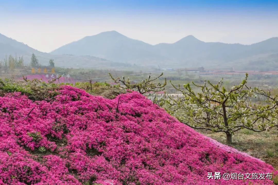 烟台旅游攻略必去景点（威海旅游攻略必去景点）-第13张图片-易算准