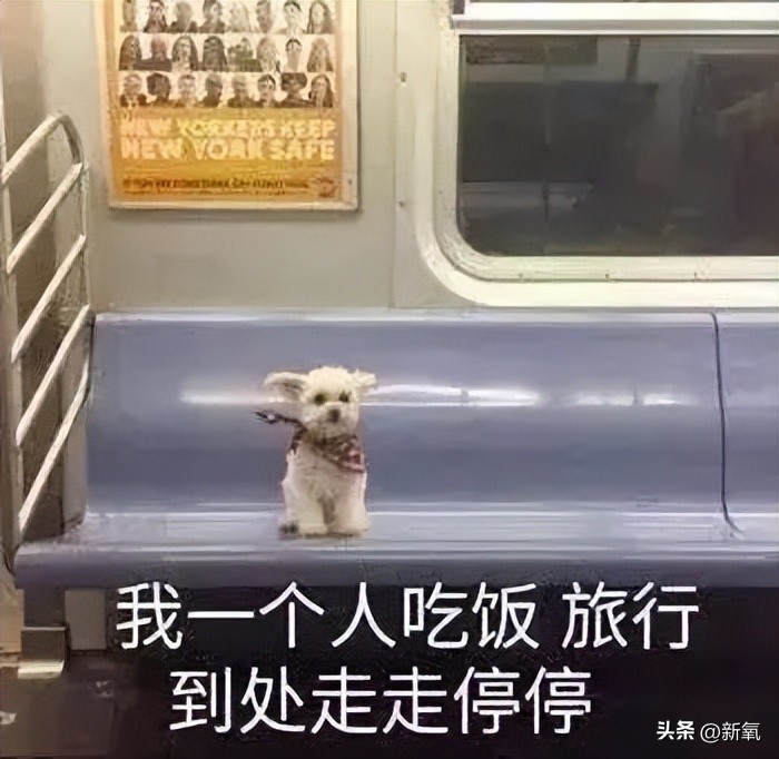 瓦妮莎怎么這么胖（300斤的瓦妮莎胖了？10個超簡單的微習慣，讓你的身材變苗條）