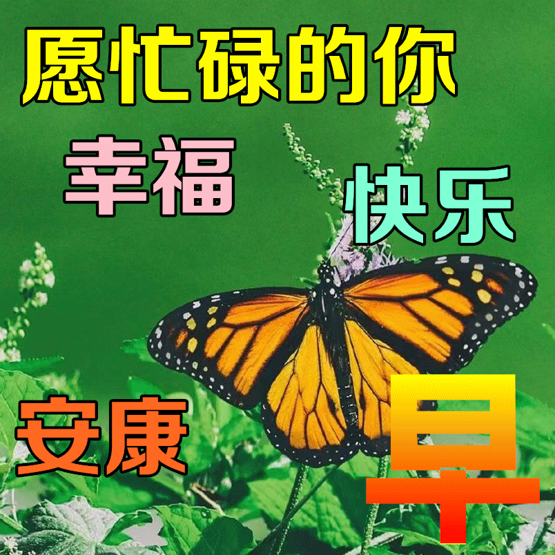 6月7日最新早上好日常祝福语大全，早晨好日常问候语录新版