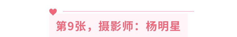 21个技巧，再助你手机拍大片！（影展点评第545期）