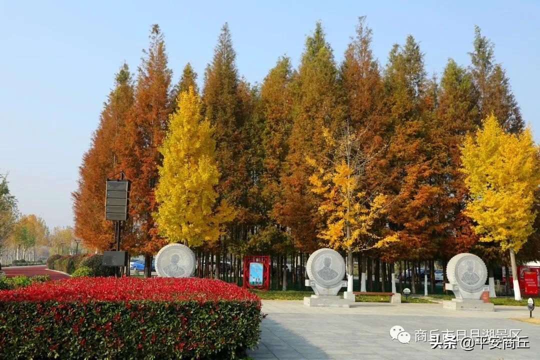 【商丘美景】红橙黄绿,赋予日月湖无限美好