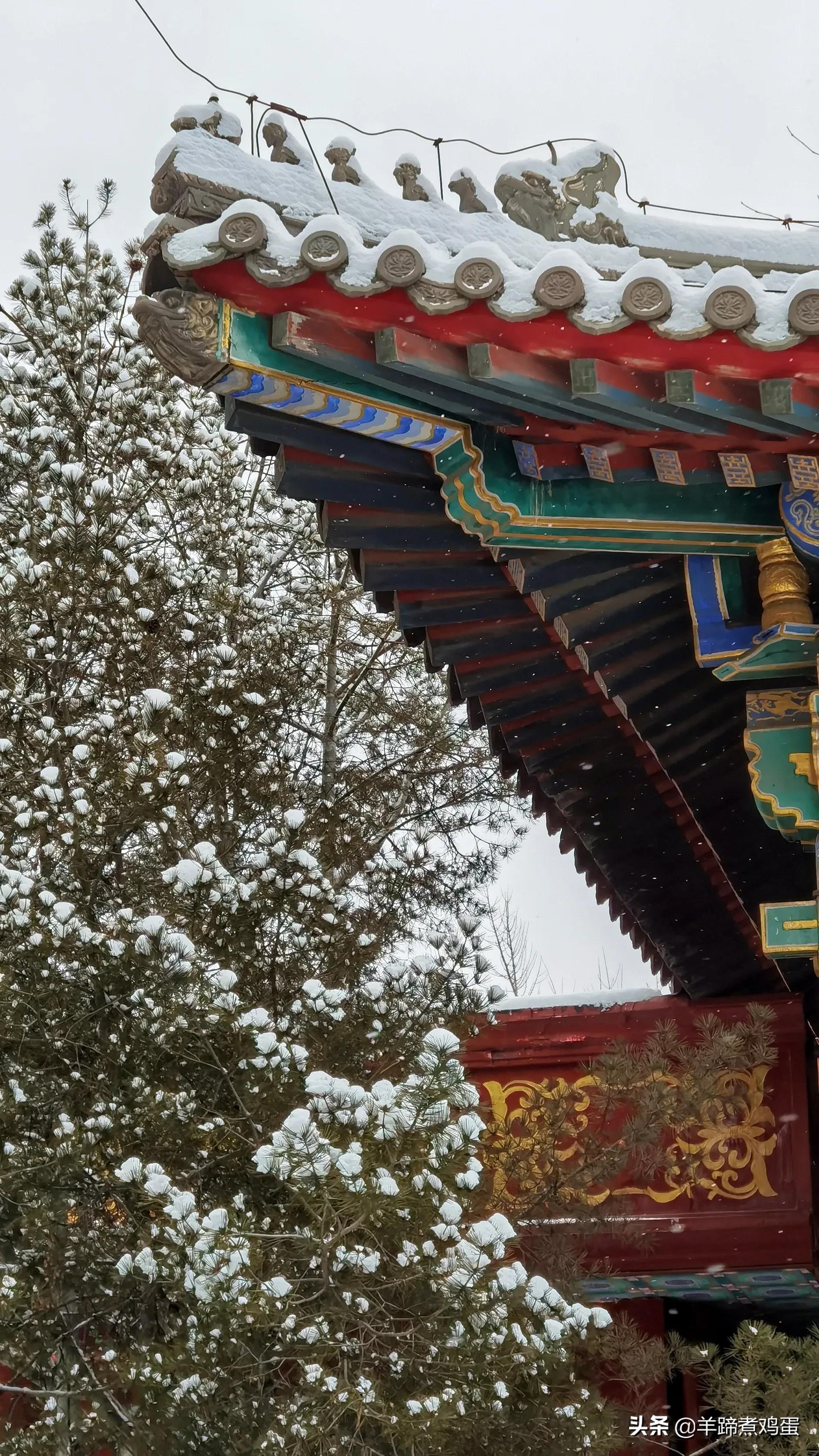 难览观园全画景雪覆腊梅一隅香——踏雪寻游北京大观园