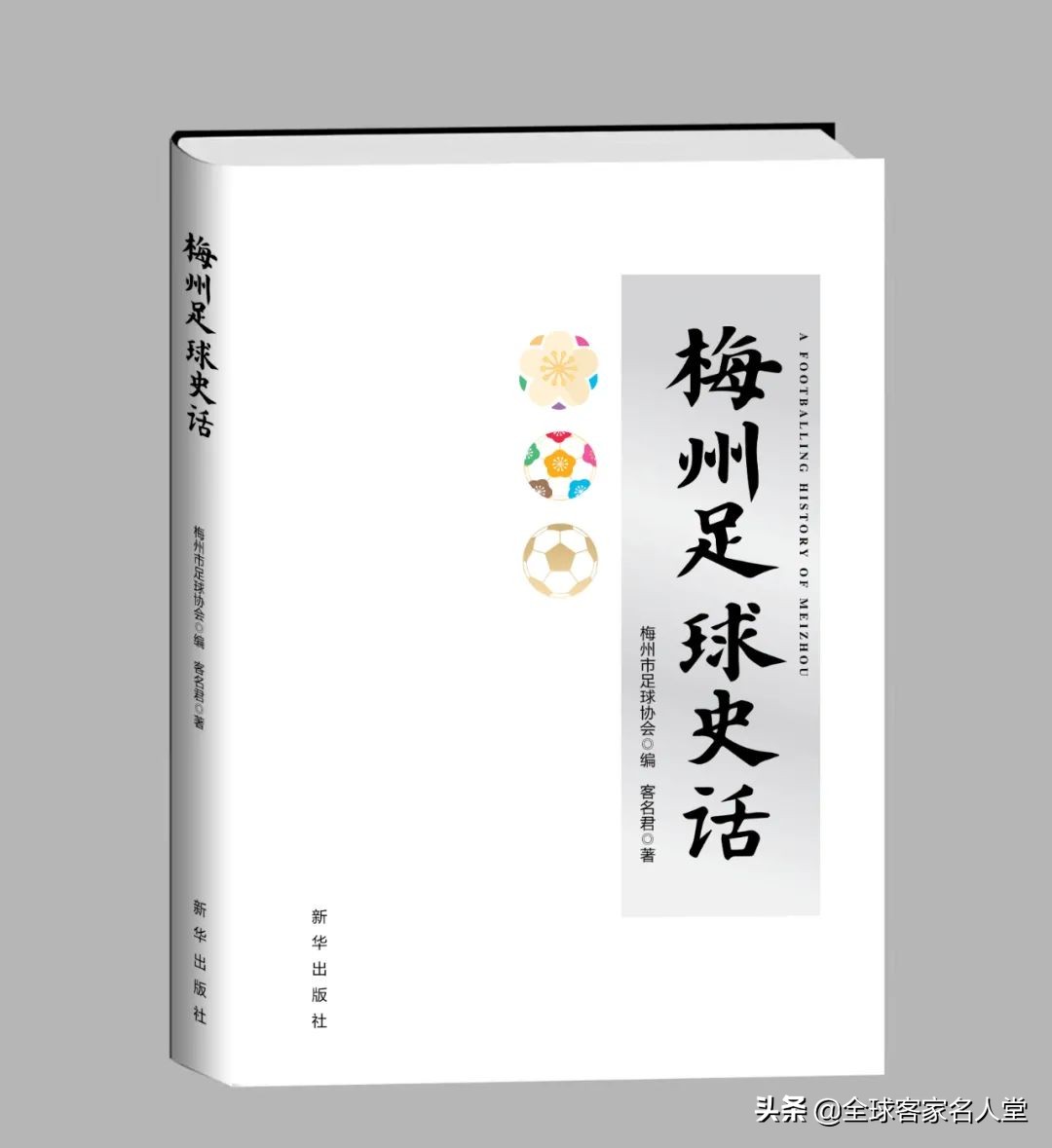 中超最好的球场在哪里(中超场地惠堂体育场被誉为“五华鸟巢”，全国规格最高县域体育场)