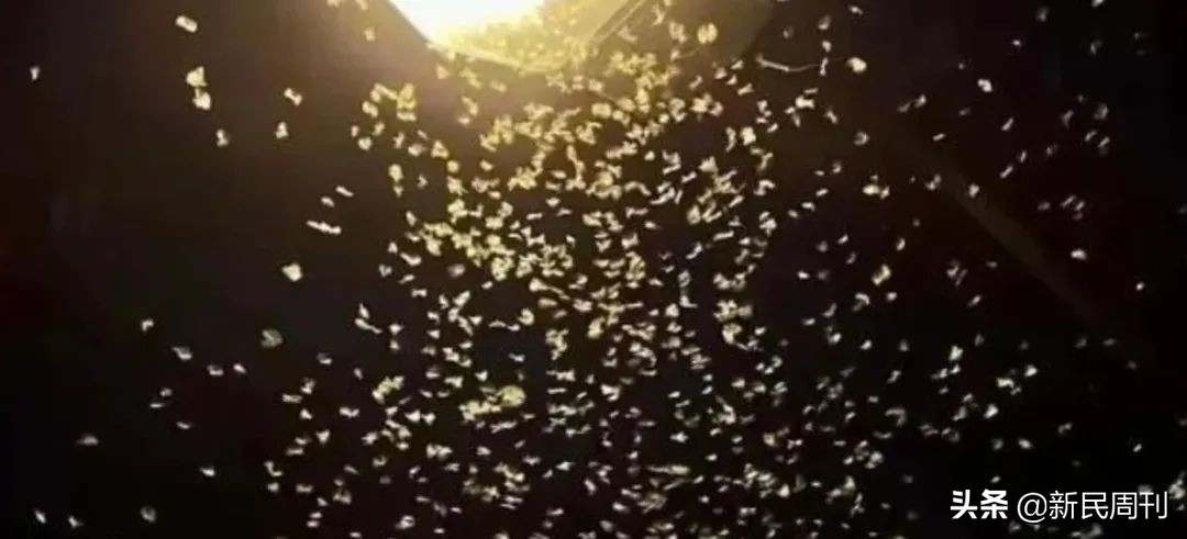 2002年世界杯中国赢了吗（20年前，国足踢出了世界杯的“最佳战绩”）