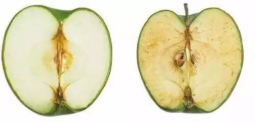 你所認為的錯誤生活健康常識