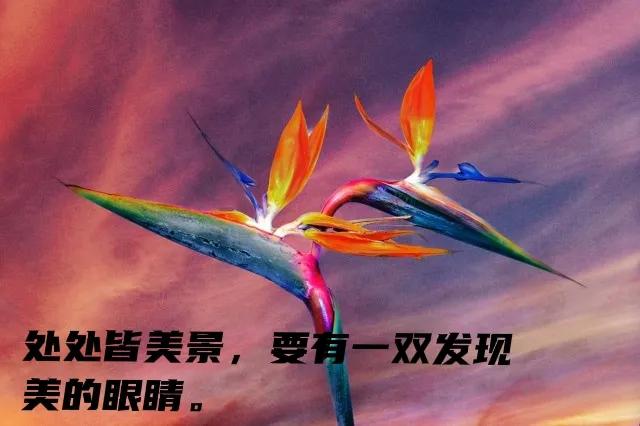 我伴你长大，你陪我变老