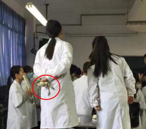 网传杭师大推倒马云雕像，网友吐槽学校忘本，校方出面回应了