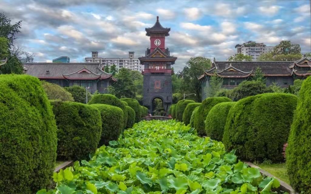 两会闭幕！聚焦教育、养老等，四川大学8位人大代表、政协委员在京履职！