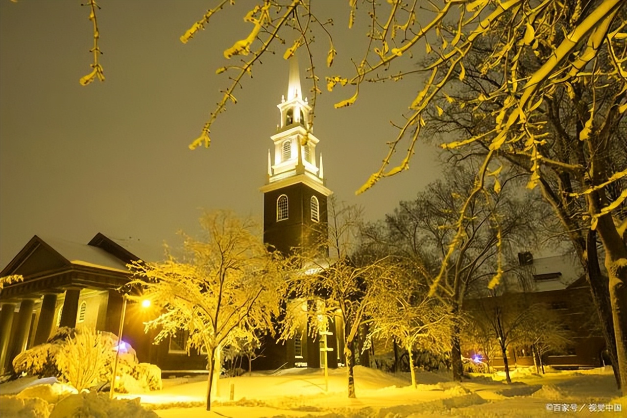 2022浙江高校排名“新鲜出炉”，宁波大学进步迅速，师大惜败工大