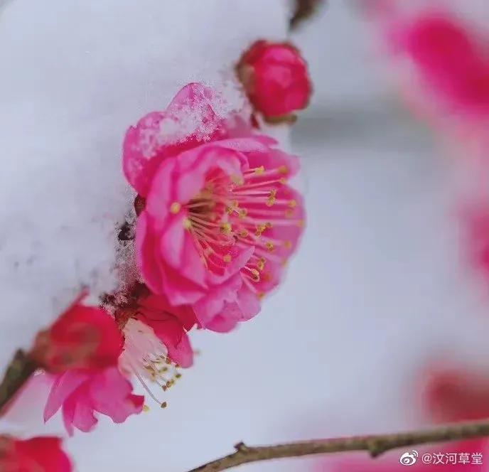 民族区域自治制度中自治州是什么（民族区域自治制度中自治州是什么意思）-第3张图片-科灵网