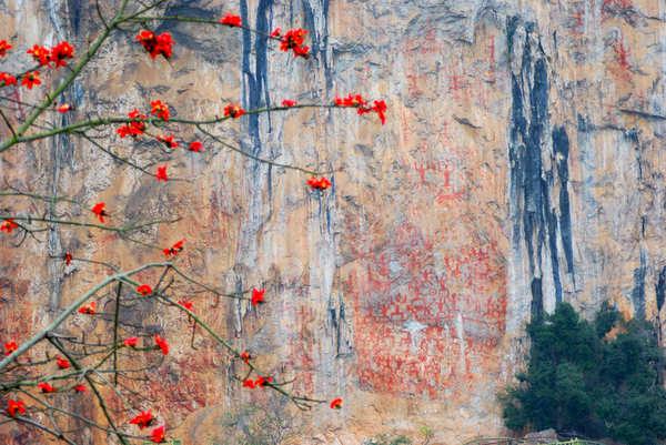 定了！广西这11个旅游景区，推动创建国家5A级旅游景区