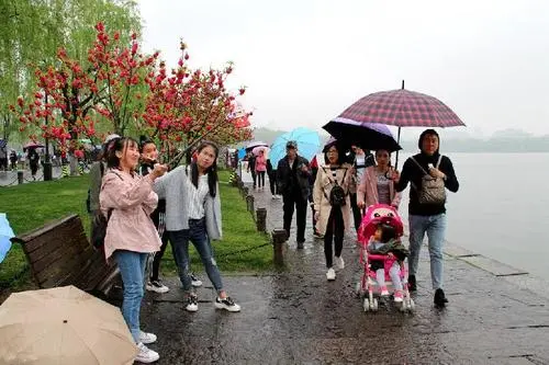 才华横溢的新方向：达奇蒂亚城市斗争，新燃料停留城市工作生活平衡和养老金