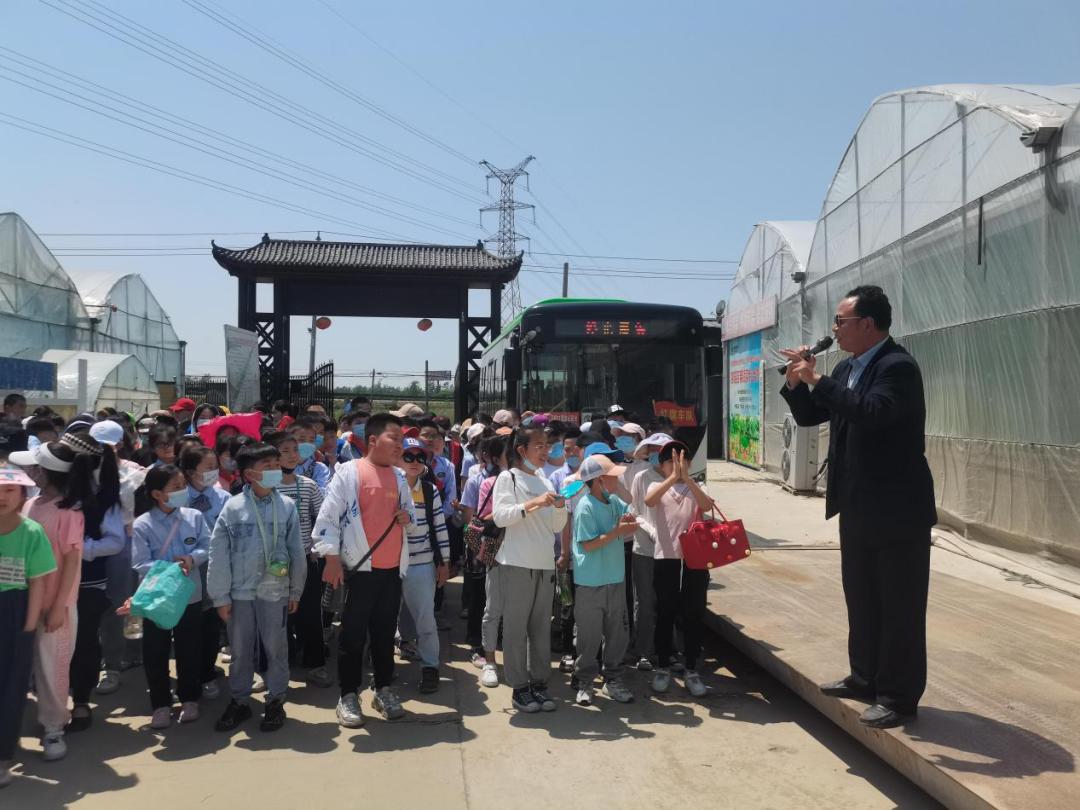 泗陽縣實驗小學:小小農(nóng)夫捉蟲忙(圖4) 泗陽縣實驗小學:小小農(nóng)夫捉蟲忙(圖4)