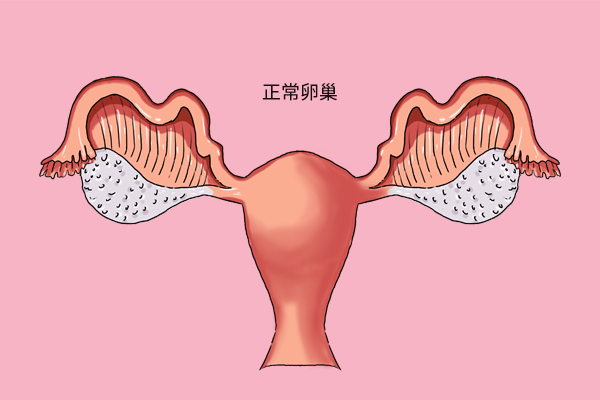 女性绝经越迟，身体老得越慢？过早、过晚，都有风险，提前了解下