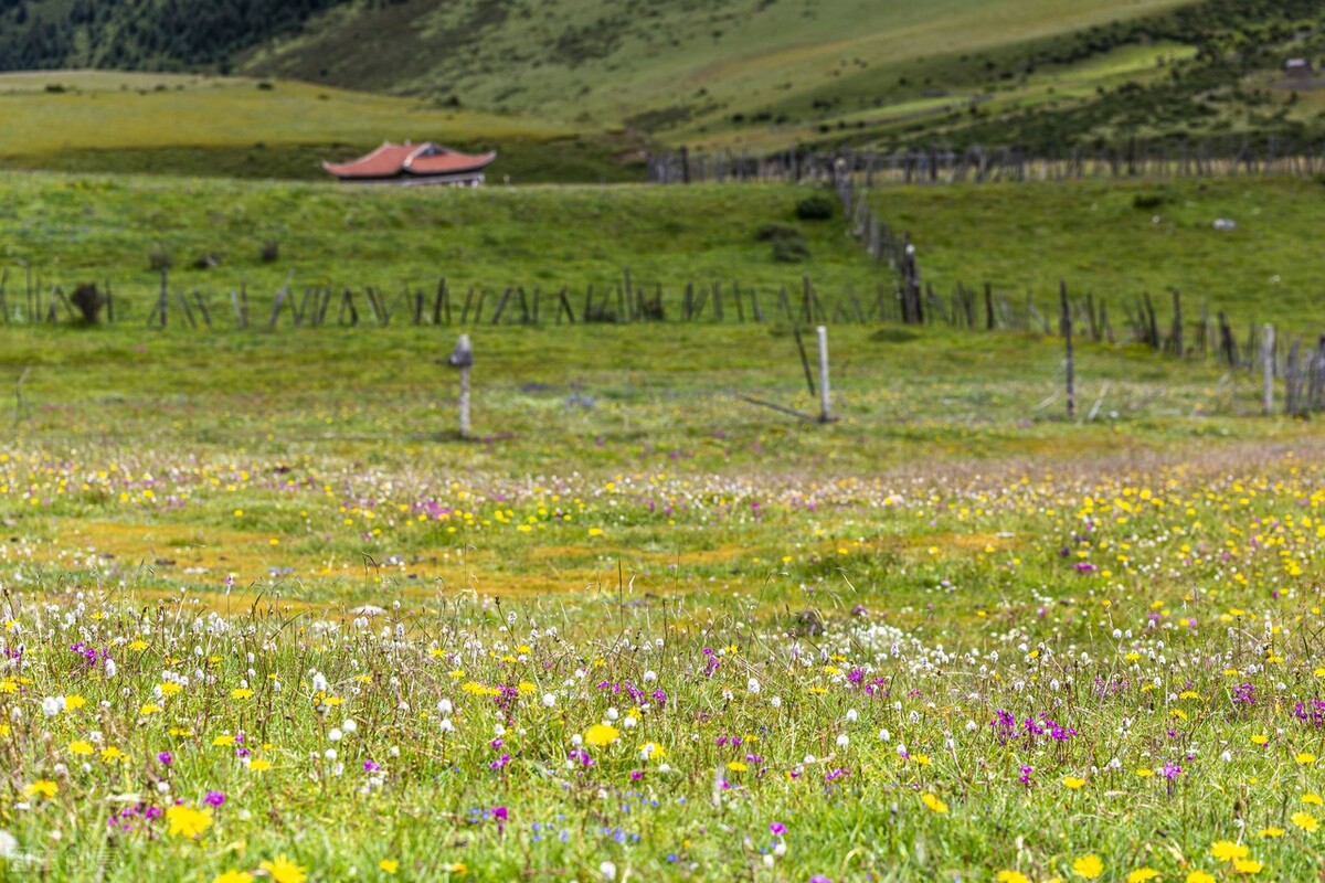 Facebook创始人马克·扎克伯格演讲实录