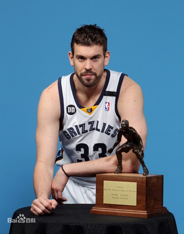 南卡罗来纳有哪些nba球队（NBA巡礼之队史最佳阵容之孟菲斯灰熊队）