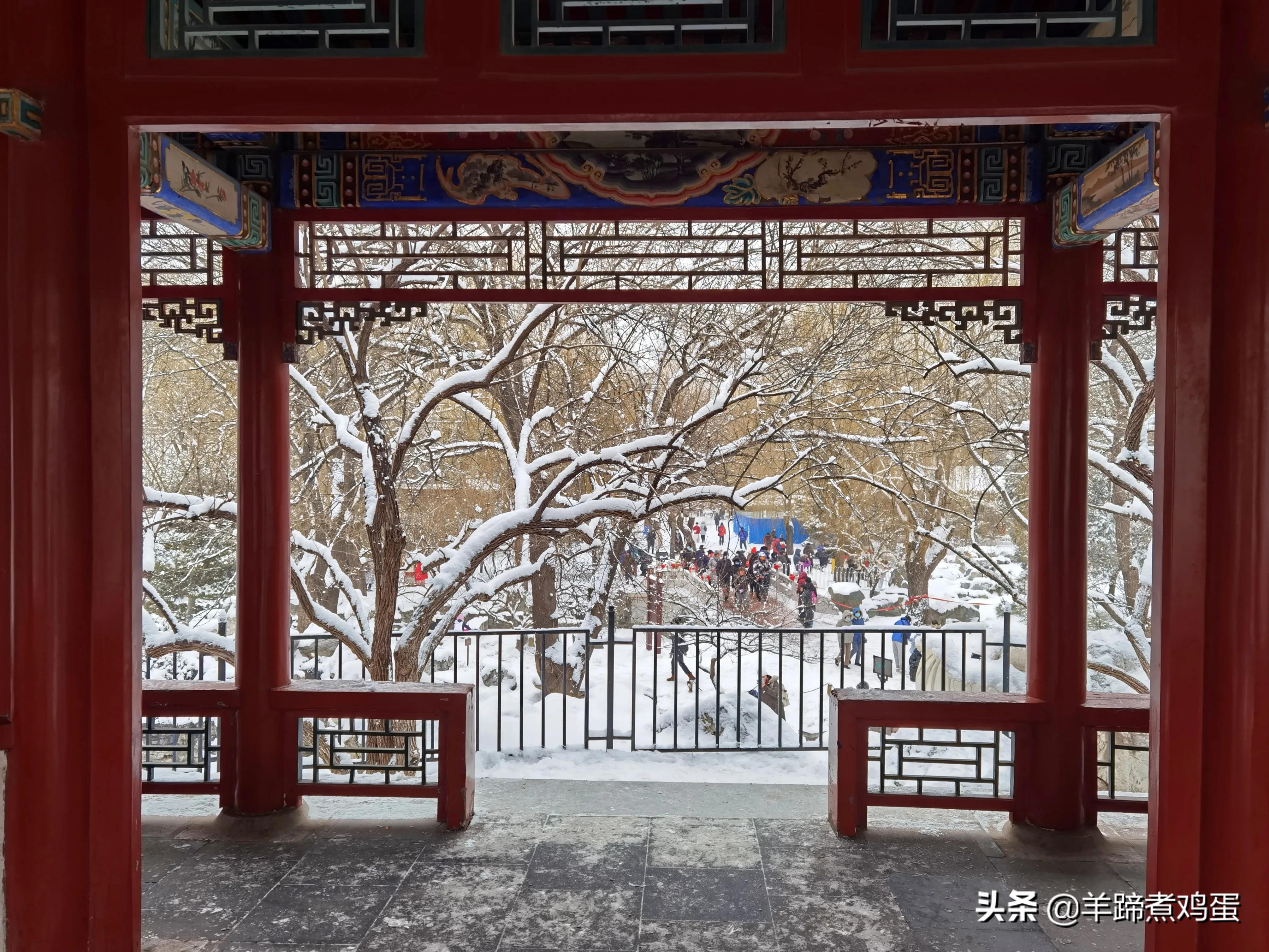 难览观园全画景雪覆腊梅一隅香——踏雪寻游北京大观园