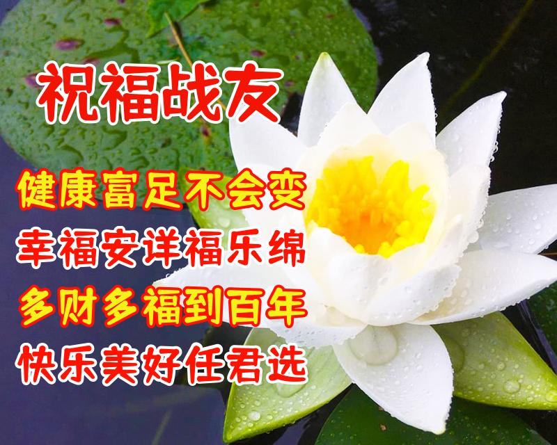 表达战友情深的八个字（送给老战友的温馨祝福语）