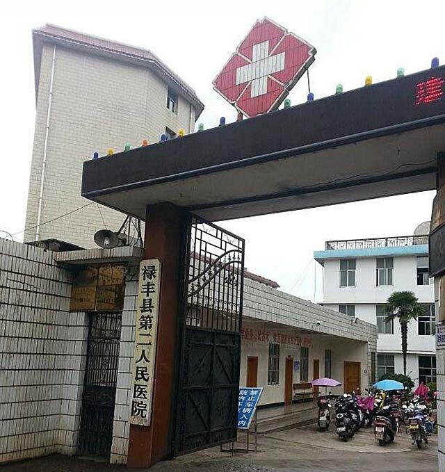 河北小伙胸口顶着200多斤肉球，体重500斤，吃喝拉撒在床上解决